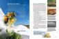 Preview: Entdecke die Bienen